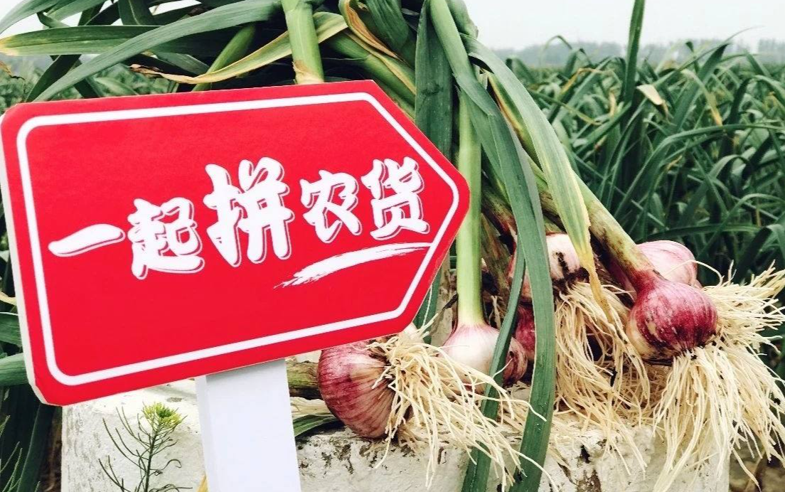 農(nóng)產(chǎn)品上行助力中國脫貧攻堅戰(zhàn)，中國電商平臺讓海外學者另眼相看